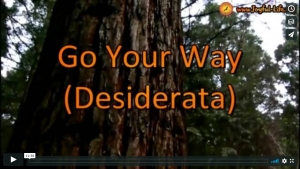 Go Your Way (Desiderata)