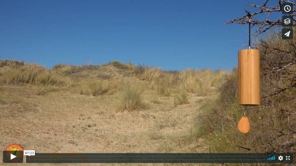 Meditating with the Wind / Naturmeditation mit dem Wind