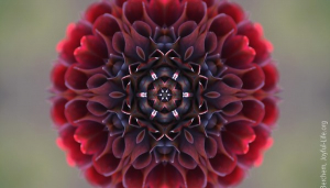 Medicus curat, natura sanat - Healing power and vital force as neglected variables in science