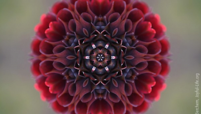 Medicus curat, natura sanat - Healing power and vital force as neglected variables in science
