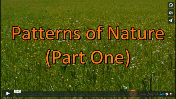 Patterns of Nature