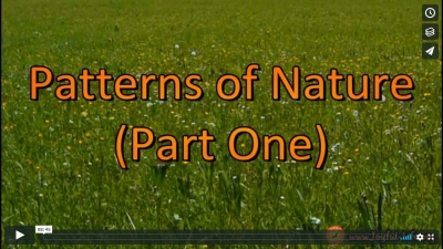 Patterns of Nature